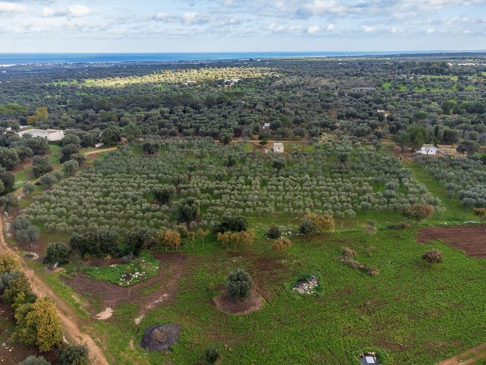 Tomt i Carovigno, Brindisi - bilde 4